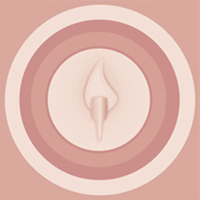 Dr-Skibba_Signet_200x200